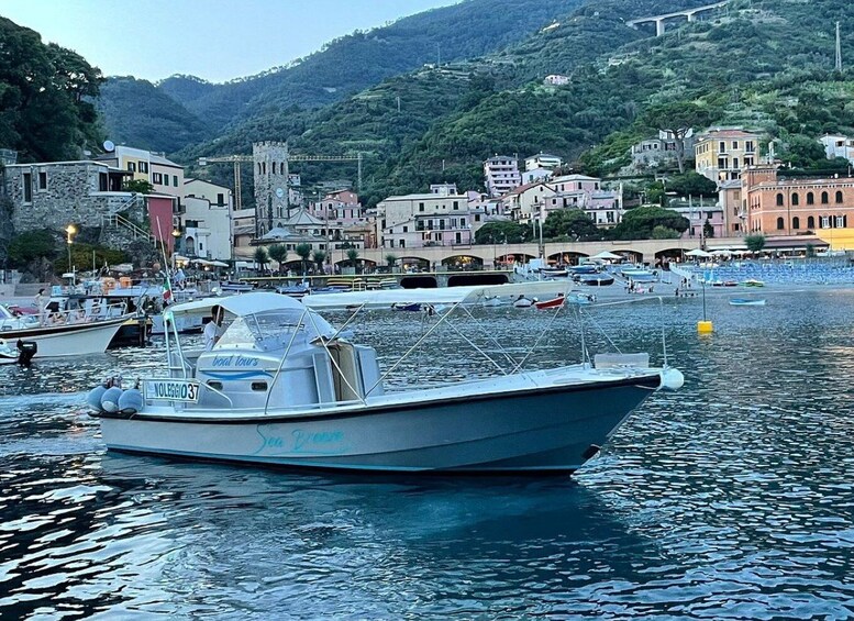 Picture 4 for Activity From Levanto: Cinque Terre Private Boat Tour