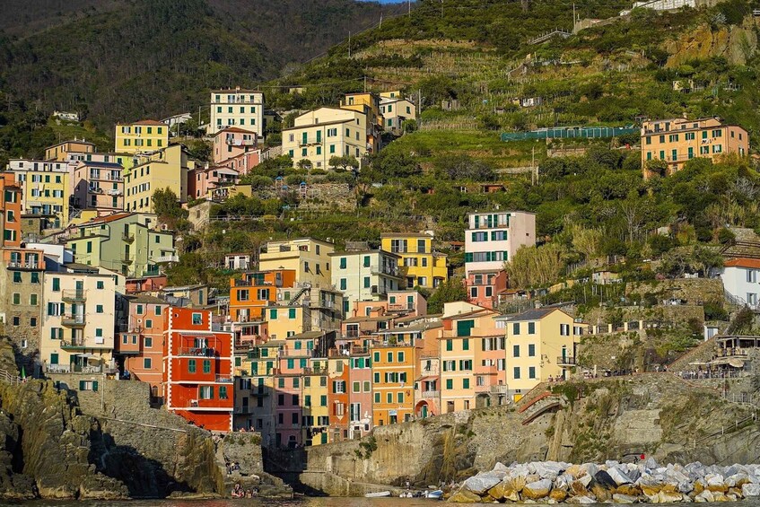 Picture 6 for Activity From Levanto: Cinque Terre Private Boat Tour