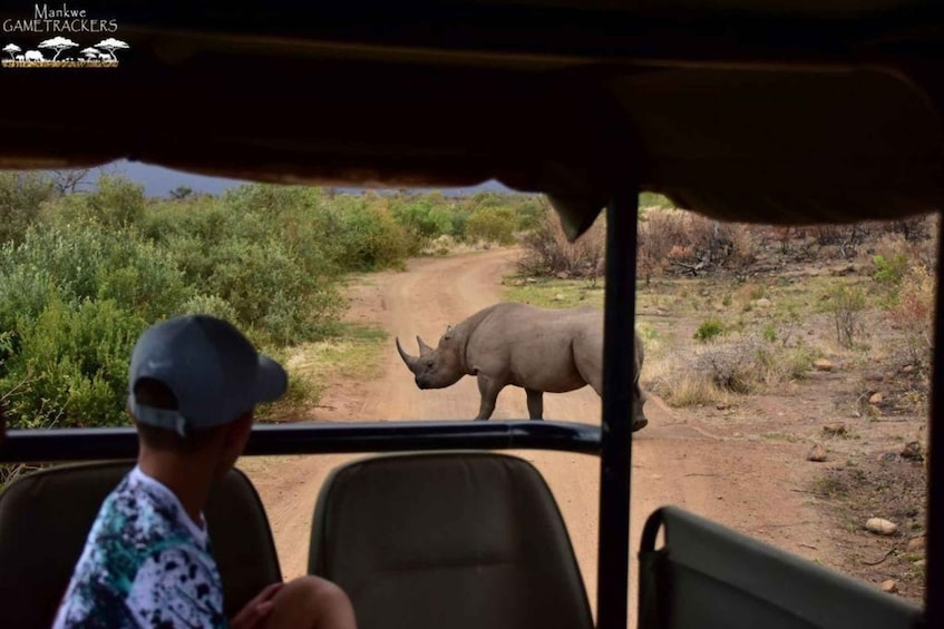 Picture 3 for Activity From Sun City: Pilanesberg National Park 3-Hour Game Drive