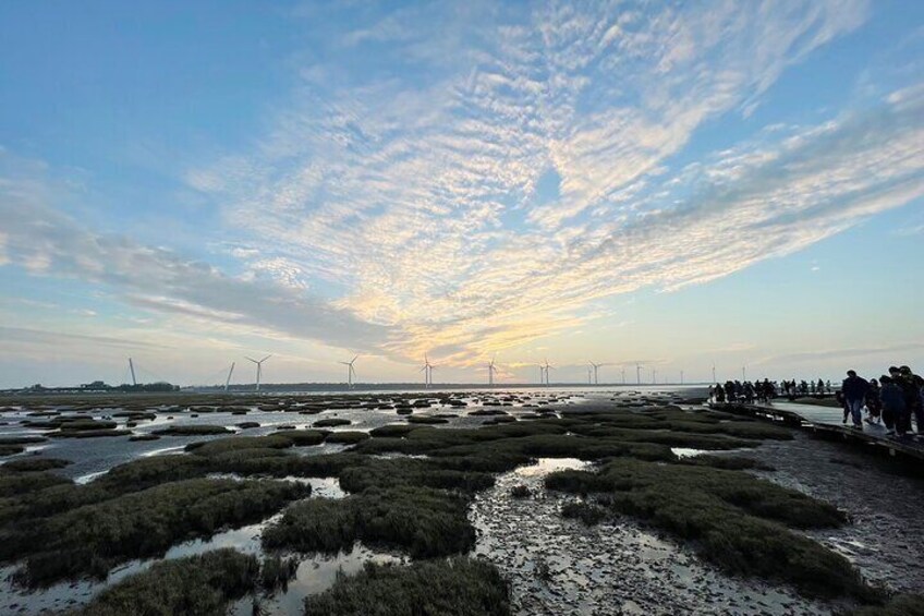 Gaomei Wetland