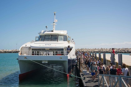 Cape Town: Robben Island Boat Trip & Museum Tour Ticket