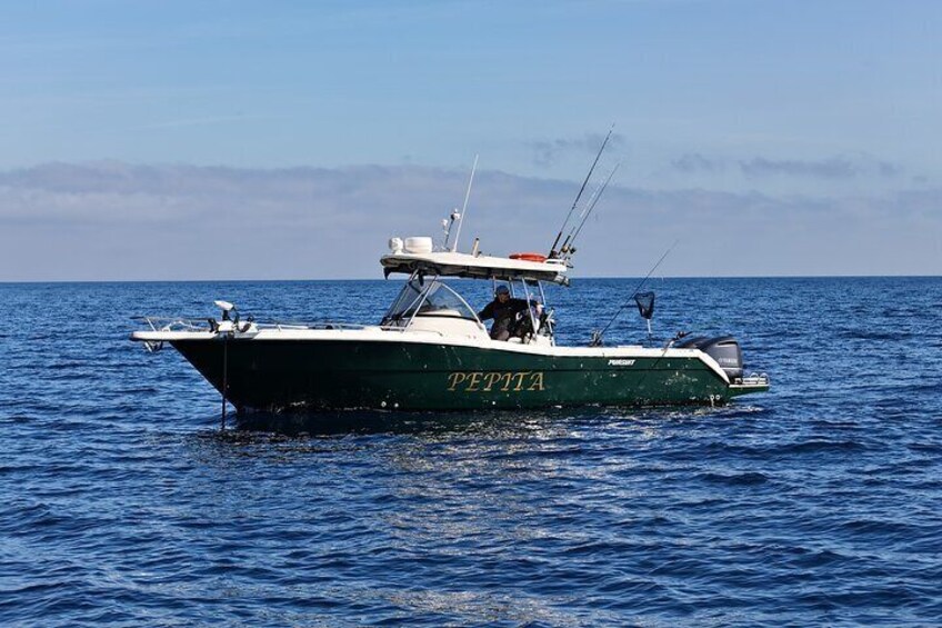 A full day fishing in Sicily