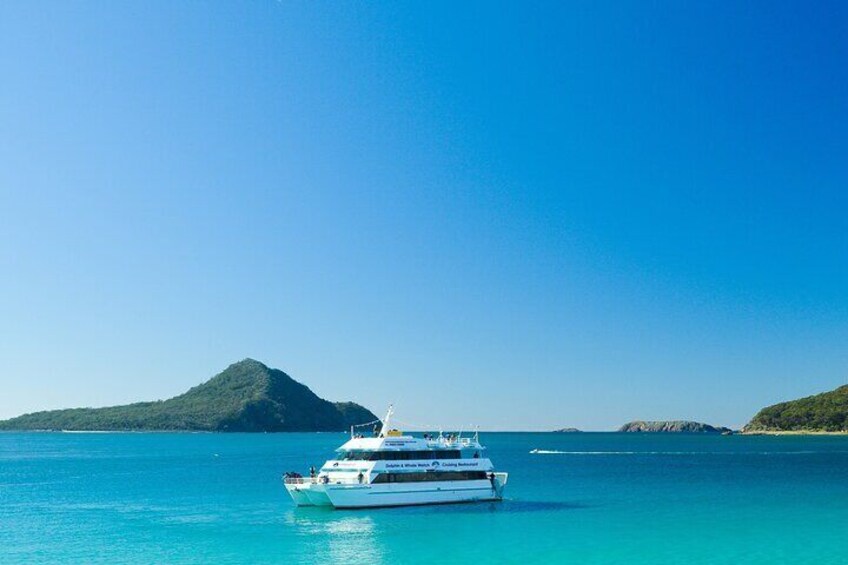 Port Stephens: Dolphin Discovery Cruise