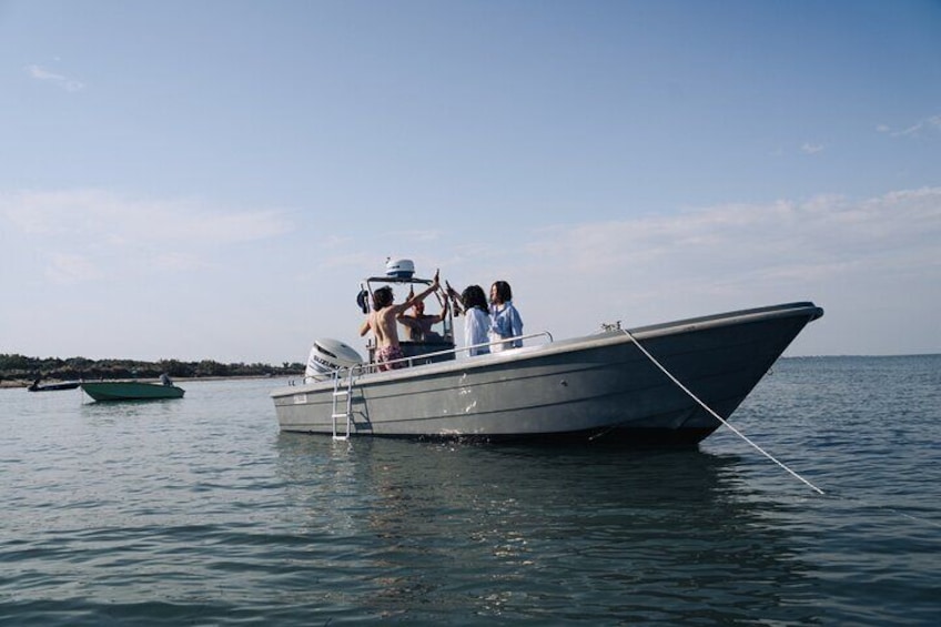 3-hour private boat tour of the Venice Lagoon Islands