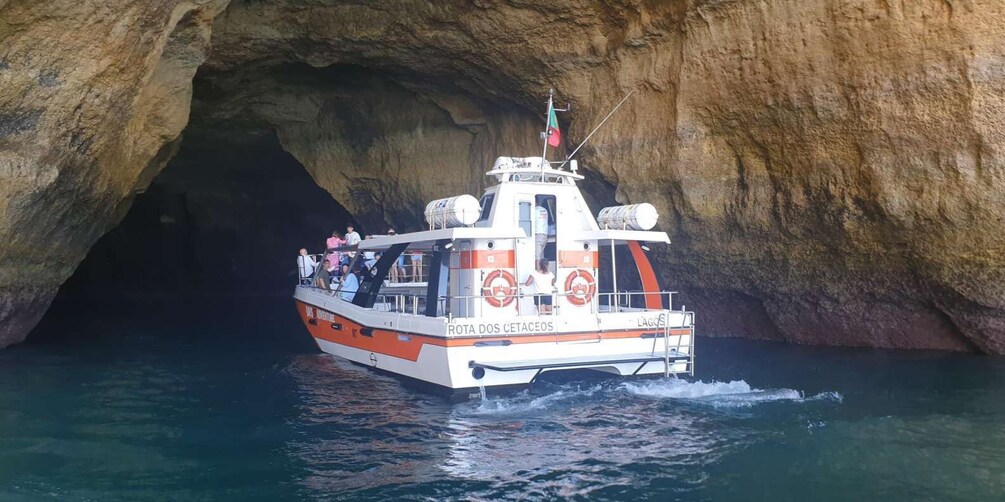 Picture 2 for Activity From Lagos: Family-Friendly Catamaran Tour of Benagil