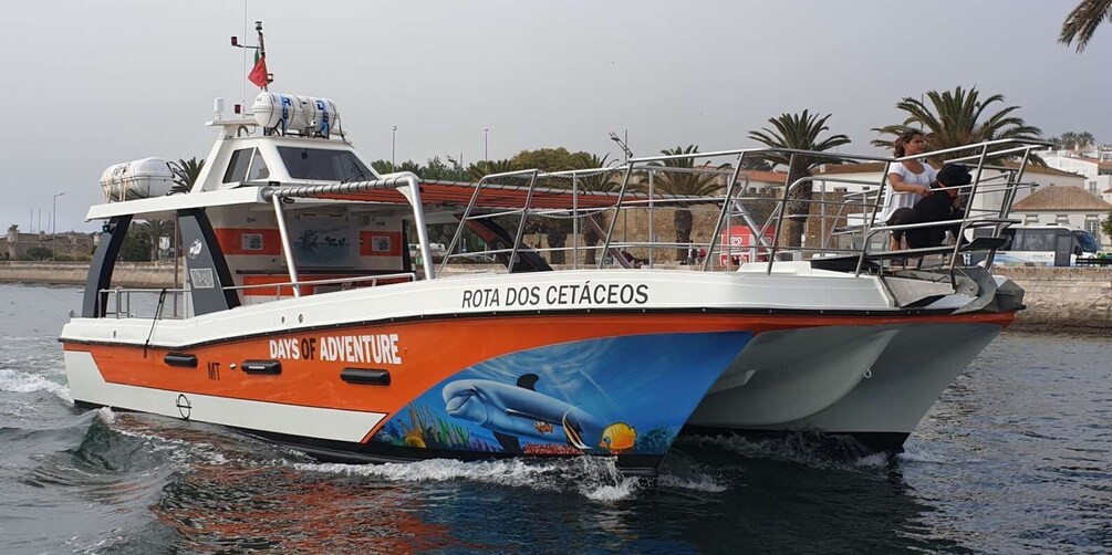 Picture 4 for Activity From Lagos: Family-Friendly Catamaran Tour of Benagil