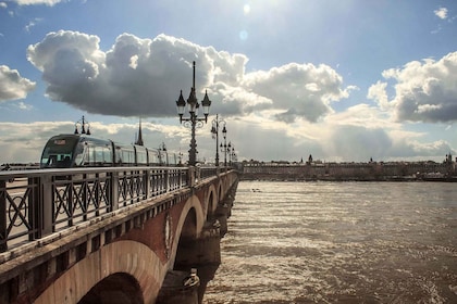 Visite guidée privée de Bordeaux