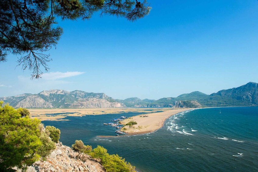 Picture 6 for Activity From Marmaris: Dalyan Cruise, Turtle Beach & Mud Baths