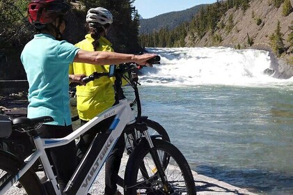 Banff Evening Ebike Wildlife Tour