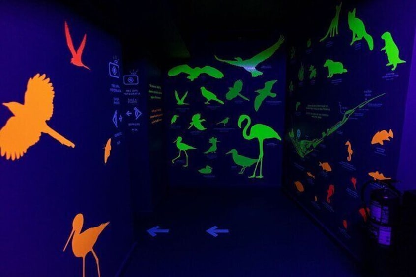 Faro Story Spot - Multimedia Museum: Your first stop in Faro!