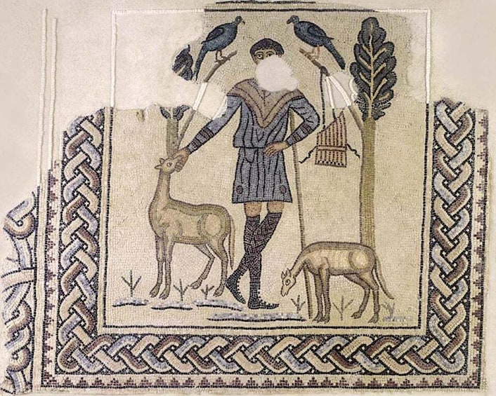 Picture 13 for Activity Ravenna: Visit archeological site "Domus Tappeti di Pietra"