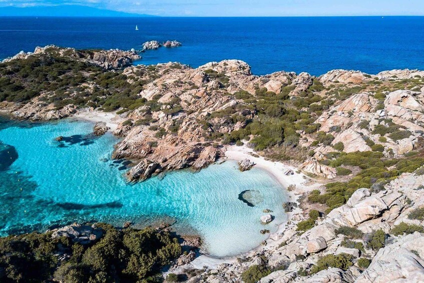 Picture 4 for Activity Maddalena: Boat tour around Archipelago from Cannigione