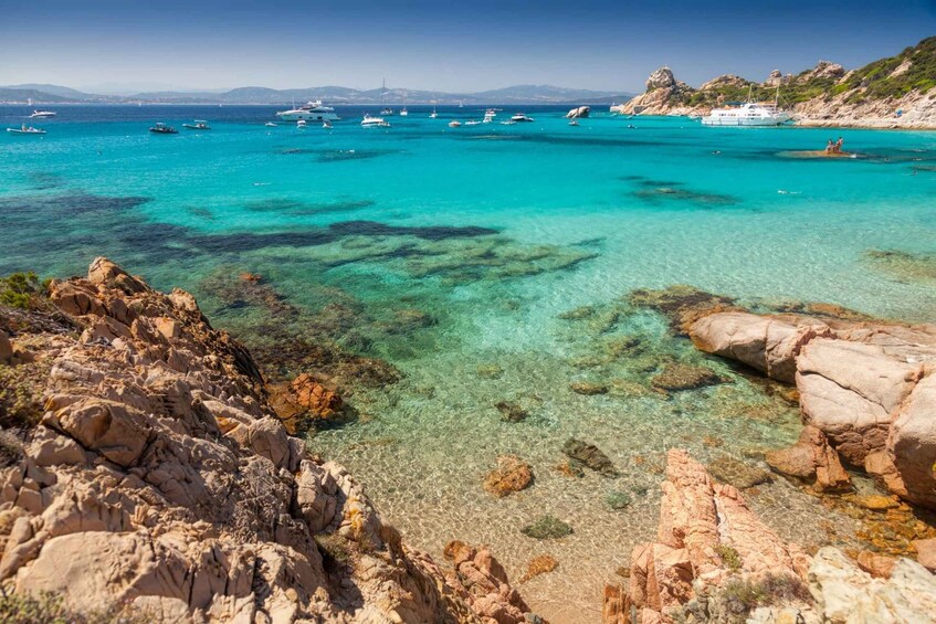 Maddalena: Boat tour around Archipelago from Cannigione
