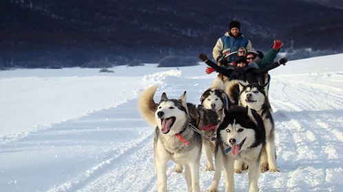 Ushuaia: Día completo de Nieve: Trineo con Huskies Motos de nieve 4x4