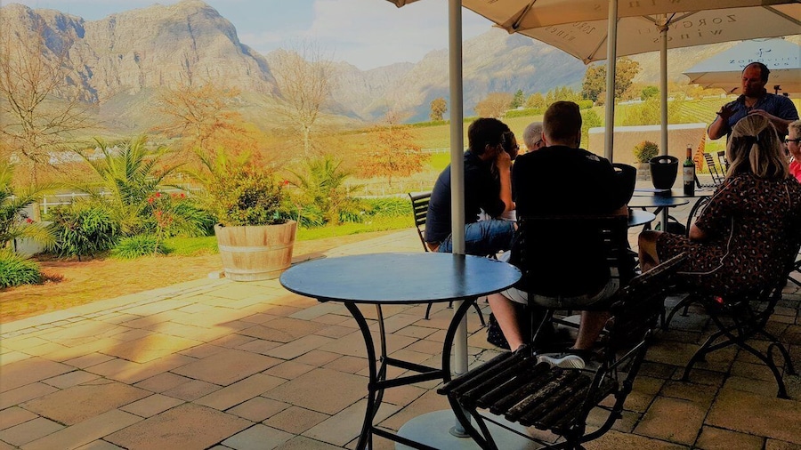 From Stellenbosch: Hop-On Hop-Off Wine Tour Southern Route