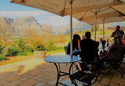 Fra Stellenbosch: Hop-On Hop-Off Wine Tour Southern Route