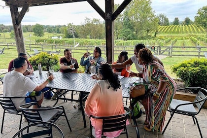 Vineyard and Winery Bus Tour from Metro DC