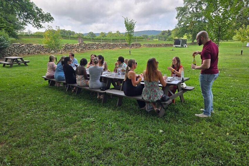 Vineyard and Winery Bus Tour from Metro DC