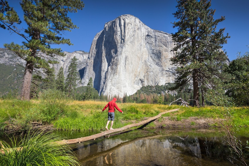 Total Yosemite Experience from San Jose
