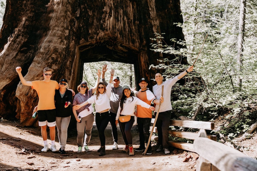 San Jose: One day Yosemite and Giant Sequoia Tour