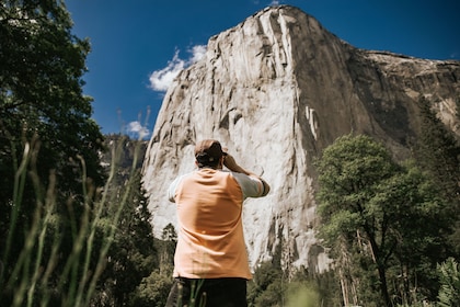San Jose: One day Yosemite and Giant Sequoias Tour