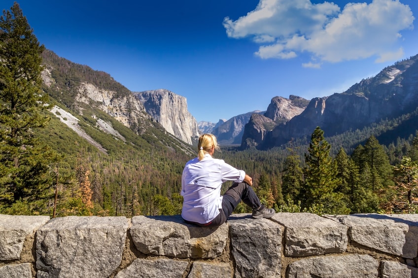 Total Yosemite Experience from San Jose