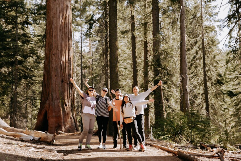 San Jose: One day Yosemite and Giant Sequoia Tour