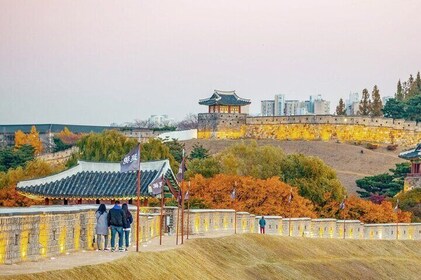 Excursión de día completo a la Fortaleza de Suwon Hwaseong y Jangtaesan: Ho...
