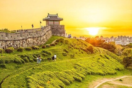 Excursión de día completo a la Fortaleza de Suwon Hwaseong y Jangtaesan: Ho...