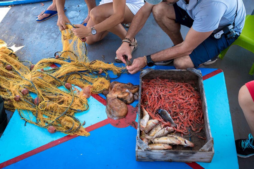 Picture 3 for Activity Santorini: Traditional Fishing Trip and Fresh Fish Lunch