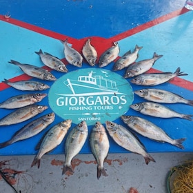 Santorin : Excursion de pêche traditionnelle et déjeuner de poisson frais