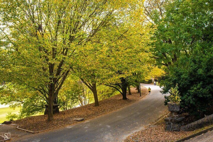 Sunset Photography Tour of Piedmont Park Atlanta