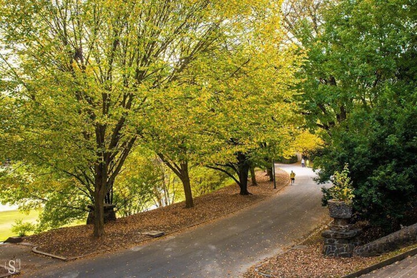Sunset Photography Tour of Piedmont Park Atlanta