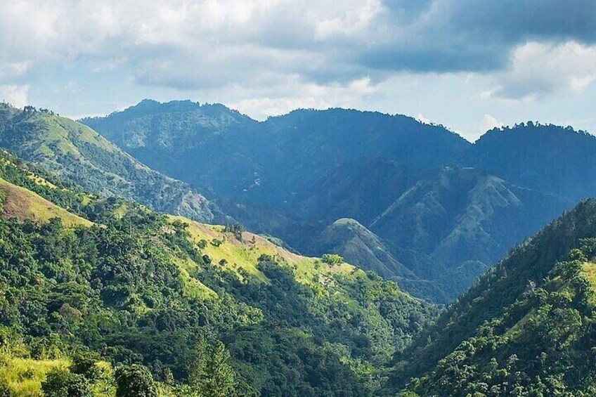 Blue Mountain Coffee, Bob Marley and Art Tour from Montego Bay