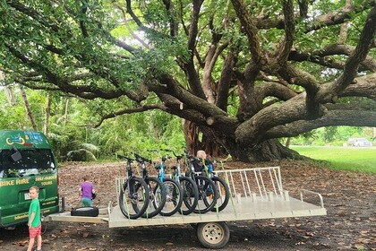 Mossman Highlights eBike Tour