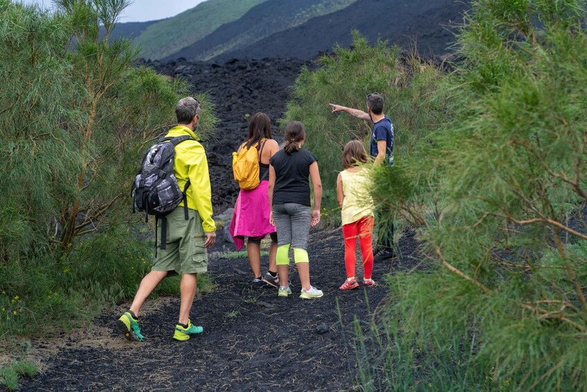 Picture 2 for Activity From Taormina: Etna Tour with Hiking, Cave Visit, & Tastings