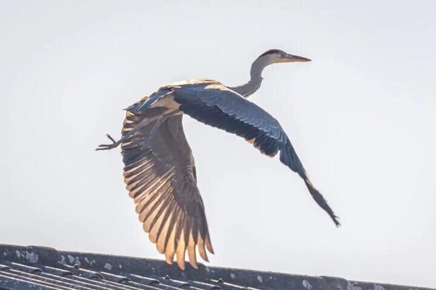 Velddrif Farm & River Experience: History, Gourmet Food, Nature