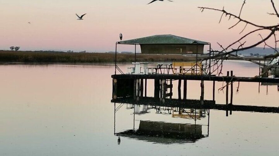 Velddrif Farm & River Experience: History, Gourmet Food, Nature