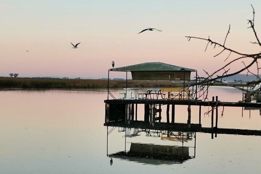 Velddrif Farm & River Experience: History, Gourmet Food, Nature