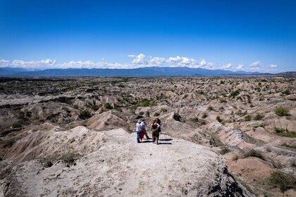 Community and Biodiversity Tour of the Tatacoa Desert from Neiva