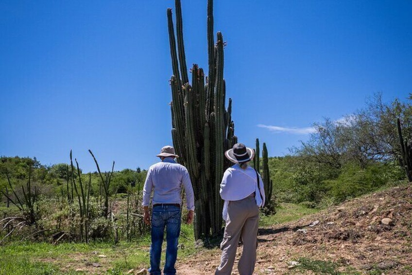 Tatacoa Desert Day Trip from Neiva all inclusive