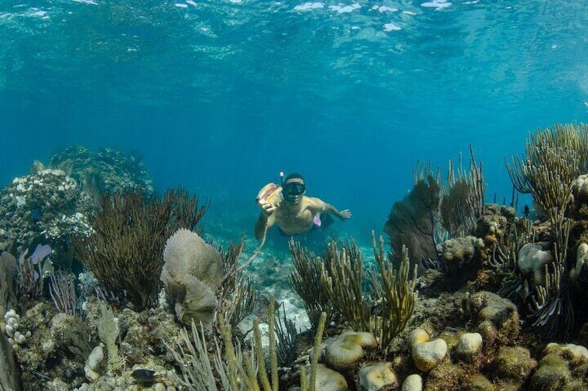 Private Yacht 48 ft Sting Ray City, Snorkel & Starfish Beach