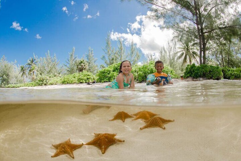 Private Yacht 48 ft Sting Ray City, Snorkel & Starfish Beach