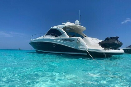 Private Yacht 48 ft Sting Ray City, Snorkel & Starfish Beach