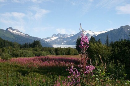 Juneau City Tour