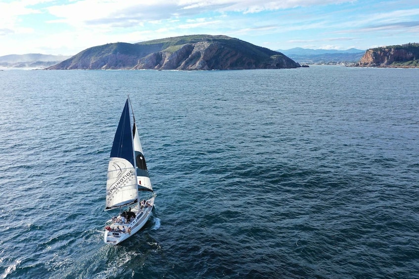 Picture 7 for Activity Knysna: 1.5-Hour Sailing Experience