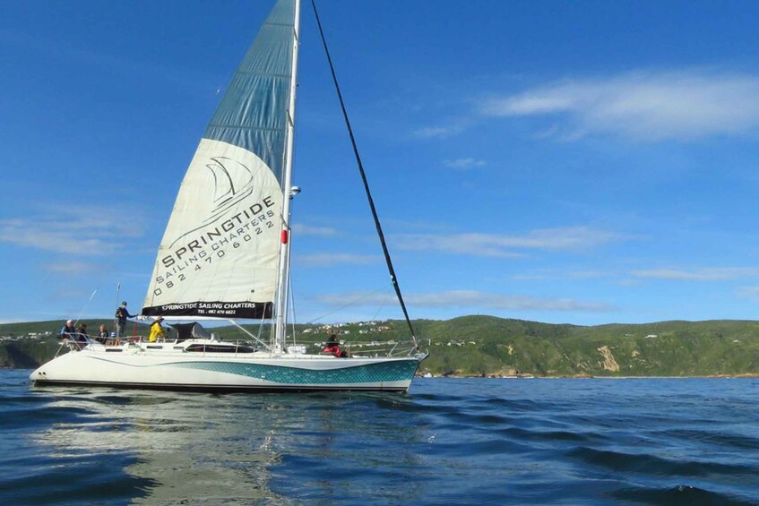 Picture 1 for Activity Knysna: 1.5-Hour Sailing Experience