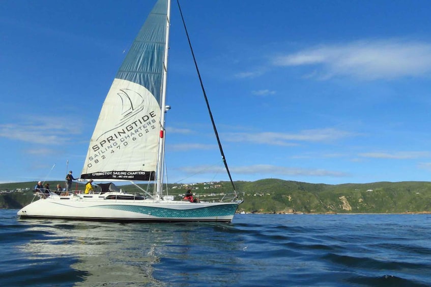 Picture 2 for Activity Knysna: 1.5-Hour Sailing Experience