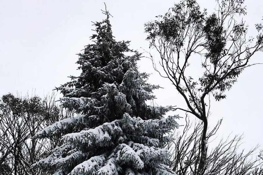 1 day Lake mountain snow tour