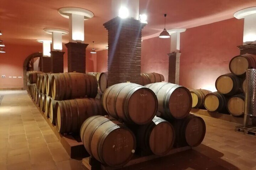 The cellar room